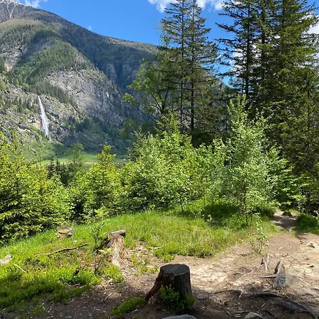 Pirker's Natur- & Bio