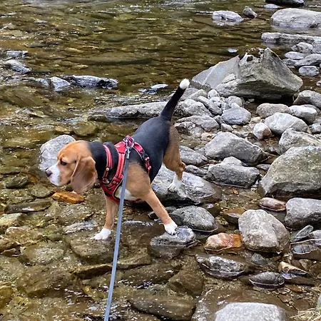 Pirker's Natur- & Bio Ξενοδοχείο 3*