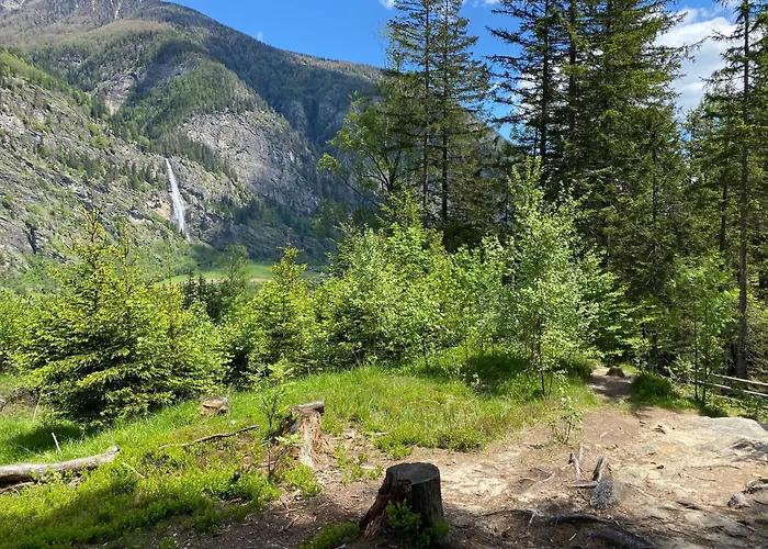 Pirker's Natur- & Bio