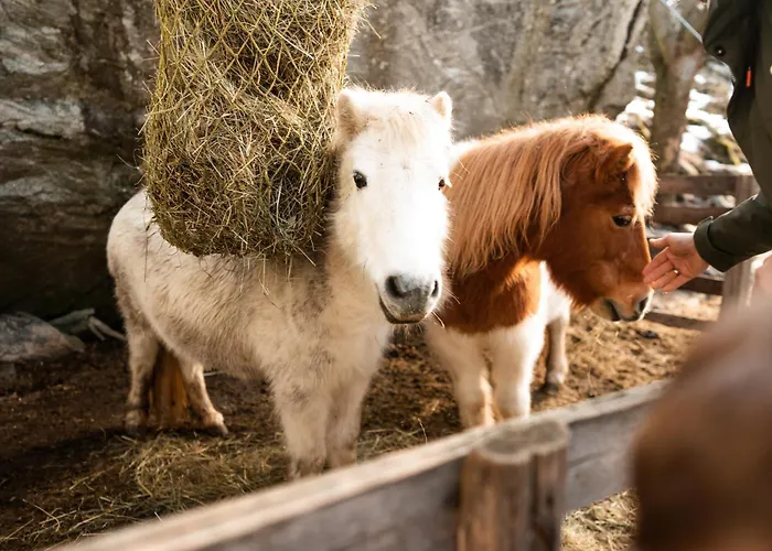 Pirker's Natur- & Bio Мальта