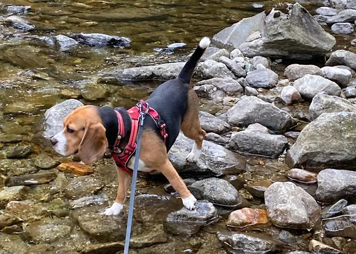 Pirker's Natur- & Bio Отель 3*